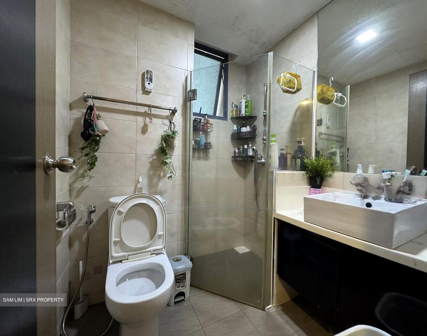 Blue Horizon (D5), Condominium #486480981